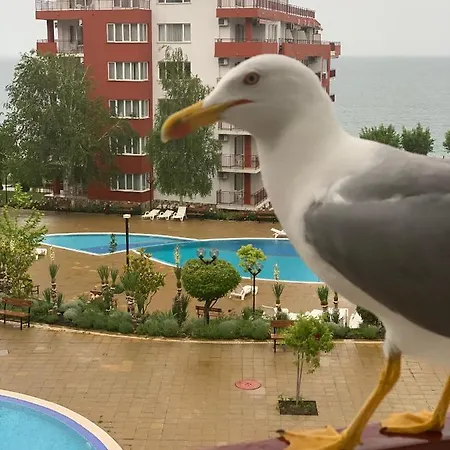 Fort Noks In St Vlas, Bulgaria Appartement *